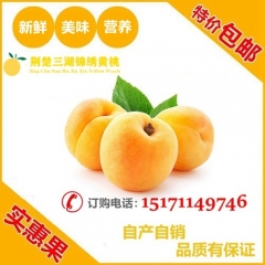 荆楚三湖锦绣黄桃热销|荆楚三湖锦绣黄桃果肉味甜多汁 普通包装 10斤