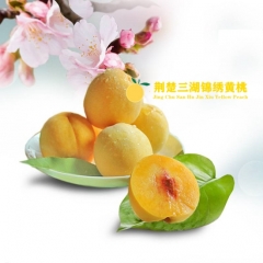 荆楚三湖锦绣黄桃热销|荆楚三湖锦绣黄桃果肉味甜多汁 精品包装 10斤