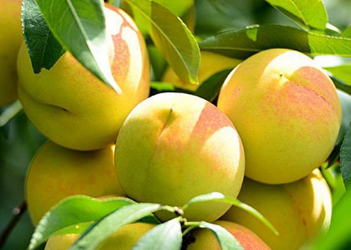 friend on inflatable